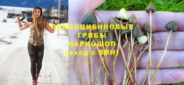 дурь Бугульма